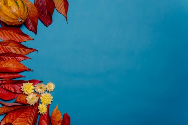 Sonbahar kompozisyonu - kırmızı, sarı ve turuncu sonbahar mavi arka planda kurumuş yapraklar. Flatlay, arkaplan, üst görünüm