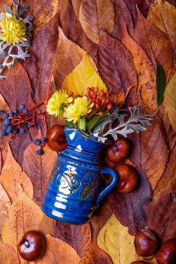 Geçmişi. Sonbahar Dekorasyon Arkaplanı küçük mavi jag, sarı chrysanthenum, kestane, kırmızı ve mavi meyveler, yapraklı yabani üzüm.