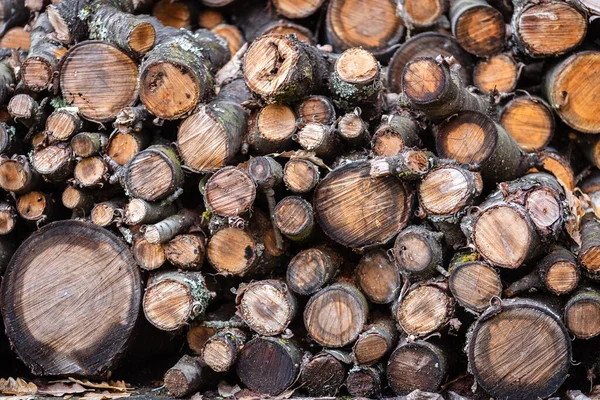 Pile of Logs. Chopped Tree Logs. Firewood in the woodpile. Harvesting firewood for the winter for heating houses.Firewood in the woodpile. Harvesting firewood for the winter for heating houses. Textured Background.