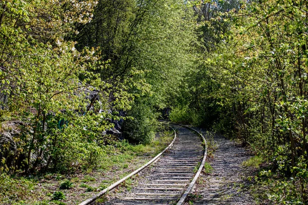 太い茂みの間の公園内の鉄道線路は — ストック写真