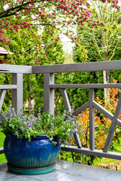 stock image terrace area with a gray railing and a blue flower pot