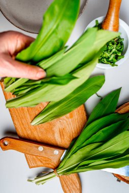 Vahşi sarımsak, Ramson, inek pırasası, inek pırasası, inek pırasası, karabasan, geniş yapraklı sarımsak, ahşap sarımsak, ayı pırasası, Avrasya yabani sarımsağı veya ayısı olarak bilinen Allium ursinum..