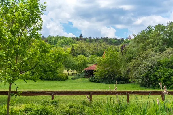 Landschaft Ein Schöner Park Mit Aussichtspunkt Und Hölzerner Veranda — Stockfoto