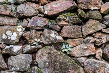 Arkaplan, model. Islak taş duvarın tam kare görüntüsü..