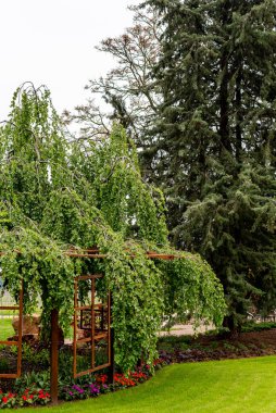 Güzel bahar, süslü yaz bahçesi, ağaçlardaki ahşap pencereler..