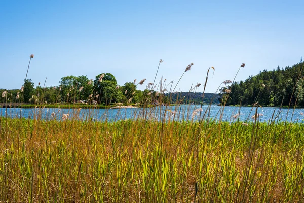 Landschaft Wasser Und Sonne See Grünes Gras — Stockfoto
