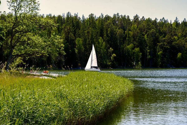 Landscape. Sailing yacht cruising on the lake in Sweden. Tourism sailing boat.