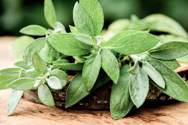 Fresh organic sage leaves over a wood cutting board