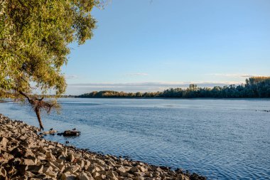 Manzara. Tuna Nehri 'nin mavi suları. Ördekler, insanlar, günbatımı, ağaçlar.