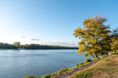 Manzara. Tuna Nehri 'nin mavi suları. Ördekler, insanlar, günbatımı, ağaçlar.