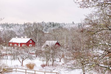 İsveç 'teki kar bahçesinde kırmızı ahşap evler. Ev geleneksel İsveç rengidir. Kış manzaralı kırmızı kulübe karla kaplı ağaçlarla çevrili..