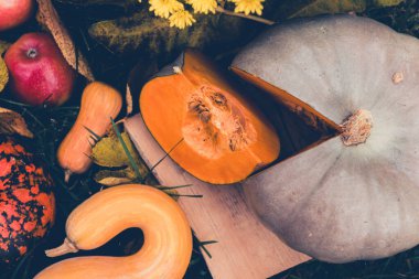 Hokkaido, elmalar ve balkabaklarıyla dolu bir hayat, kesme tahtasında bir dilim balkabağı.