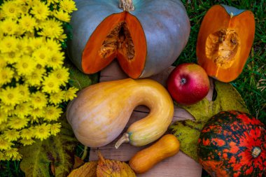 Sonbahar hasadı hala sarı kasımpatı, balkabağı, hokkaido, elma ve balkabağı dilimleriyle dolu..