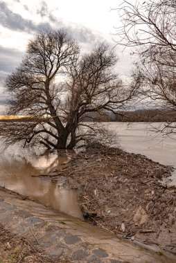 Plastik atık, katı atık, nehirde odun parçaları, kanal, sahil ya da kıyı boyunca. Peyzaj.