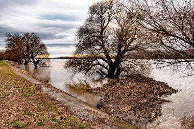 Plastik atık, katı atık, nehirde odun parçaları, kanal, sahil ya da kıyı boyunca. Peyzaj.