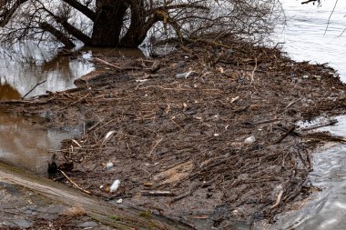 Plastik atık, katı atık, nehirde odun parçaları, kanal, sahil ya da kıyı boyunca. Peyzaj.