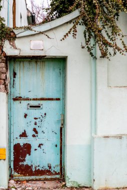 Mavi kapılı, çatısı yeşil bitkilerle kaplı eski evin eski çatısına tırmanıyor..