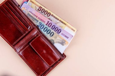Macar HUF banknotları kahverengi deri cüzdan