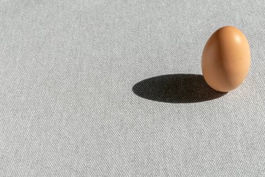 gri arka plan üzerinde taze kahverengi tavuk yumurta.