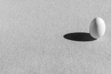 Gri arka planda taze beyaz tavuk yumurtası.