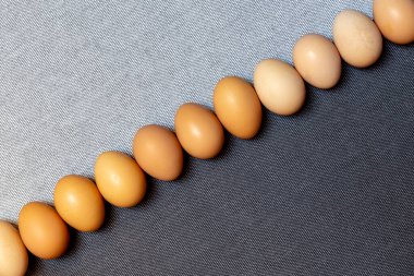 Gri arka planda taze kahverengi tavuk yumurtası..