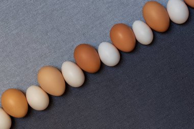 Gri arka planda taze kahverengi ve küçük chabo tavuk yumurtaları..