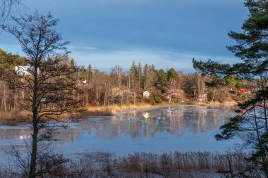 Baharda göl. Gölü ve tarlakuşlarının mavi sularında eriyen buzlarla güzel bir bahar manzarası.