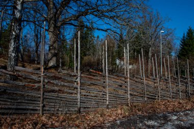 Tahta dalların dokusu. Esnek dallardan yapılmış ahşap çitler.