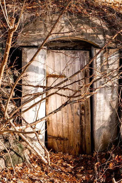 Old wood door of the retro abandoned cellar