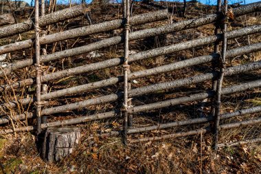 Gün batımında esnek dallardan yapılmış ahşap çitler.