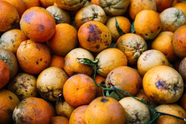 Piyasadaki taze portakal meyveleri. Hanya, Girit, Yunanistan.