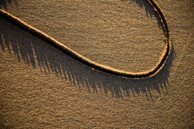 plajda kuma çizilmiş kalp şekli