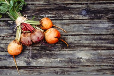 Organik sebzeler... Kırsal arka planda renkli gökkuşağı pancarları. Açık havada altın, pembe ve mor pancarlar.