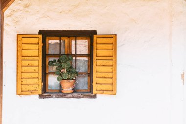 Ahşap çerçeveli, panjurlu ve çiçekli eski bir pencere. Eski bir binanın ön cephesinin parçası..