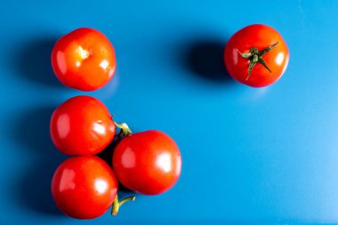 Taze organik sebzeler mavi arka planda kırmızı domatesler.