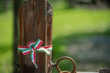 Tahta kirişin üzerinde doğal yeşil arkaplan ile Macar bayrağı renginde kurdele yayı. Macar ulusal yarışması renk kurdelesi. Macar Ulusal Günü 'nün üç renkli gül sembolünü kapat