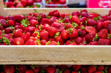 Marketteki tahta kutuda çilek var. Sokak pazarında olgun çilekler yığılıyor.