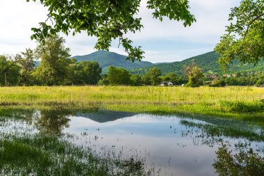 Yağmur yağdıktan sonra yaz ve sonbahar aylarında yüksek su ve mevsimsel seller olur. Nehir kıyısındaki bitkiler güneşli bir günde Tuna nehrinden taşar..