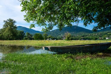 Yağmur yağdıktan sonra yaz ve sonbahar aylarında yüksek su ve mevsimsel seller olur. Nehir kıyısındaki bitkiler güneşli bir günde Tuna nehrinden taşar..