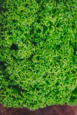 Lollo yeşil marul, salata marul, marul. en üstteki görünüm