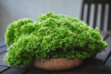 Lollo yeşil marul ahşap kasede. Salata, marul, marul. en üstteki görünüm