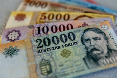 Macar forinti, gri arkaplanda karışık banknotlar.
