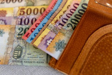 Gri arka planda kahverengi deri bir cüzdanda Macar sahte banknotları.