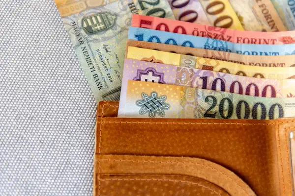 Gri arka planda kahverengi deri bir cüzdanda Macar sahte banknotları.
