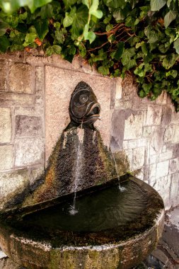 Yazın çok güzel bir içme suyu çeşmesi. Sudaki yosunlar.