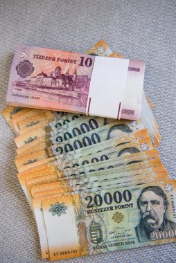 Macar forinti, karışık 10.000 ve 20.000 FT banknotlar gri arka planda.