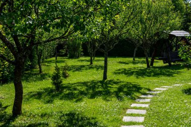 Baharda meyve bahçesi. Çiçekli meyve ağaçları olan küçük yeşil bir bahçe..