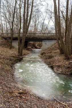 Donmuş kış deresi. Ormanda alışılmadık derecede soğuk ve kar yağışı olmayan bir günün manzarası.