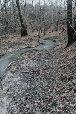Donmuş kış deresi. Ormanda alışılmadık derecede soğuk ve kar yağışı olmayan bir günün manzarası.