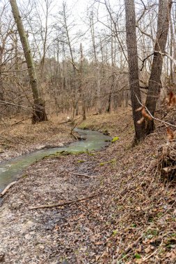 Donmuş kış deresi. Ormanda alışılmadık derecede soğuk ve kar yağışı olmayan bir günün manzarası.
